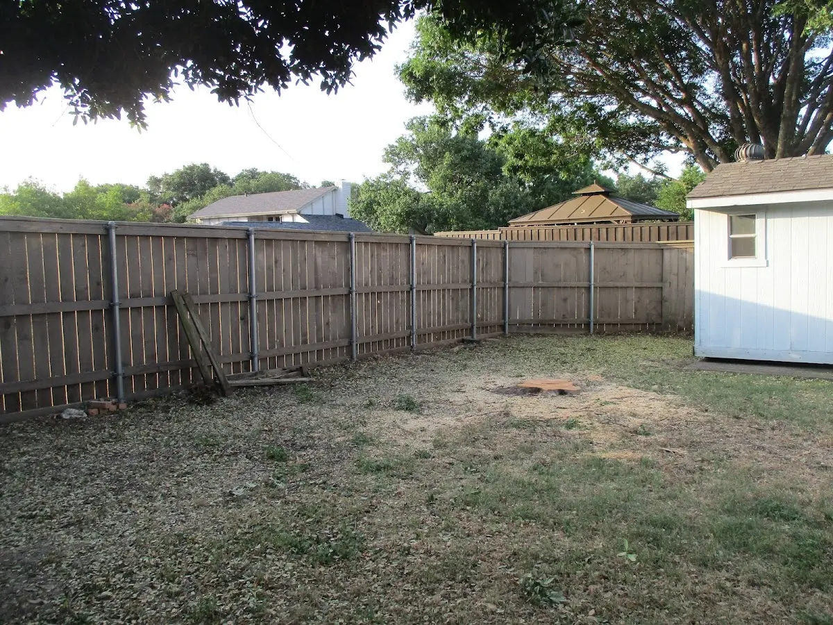 Cleared yard after professional tree removal in Froid