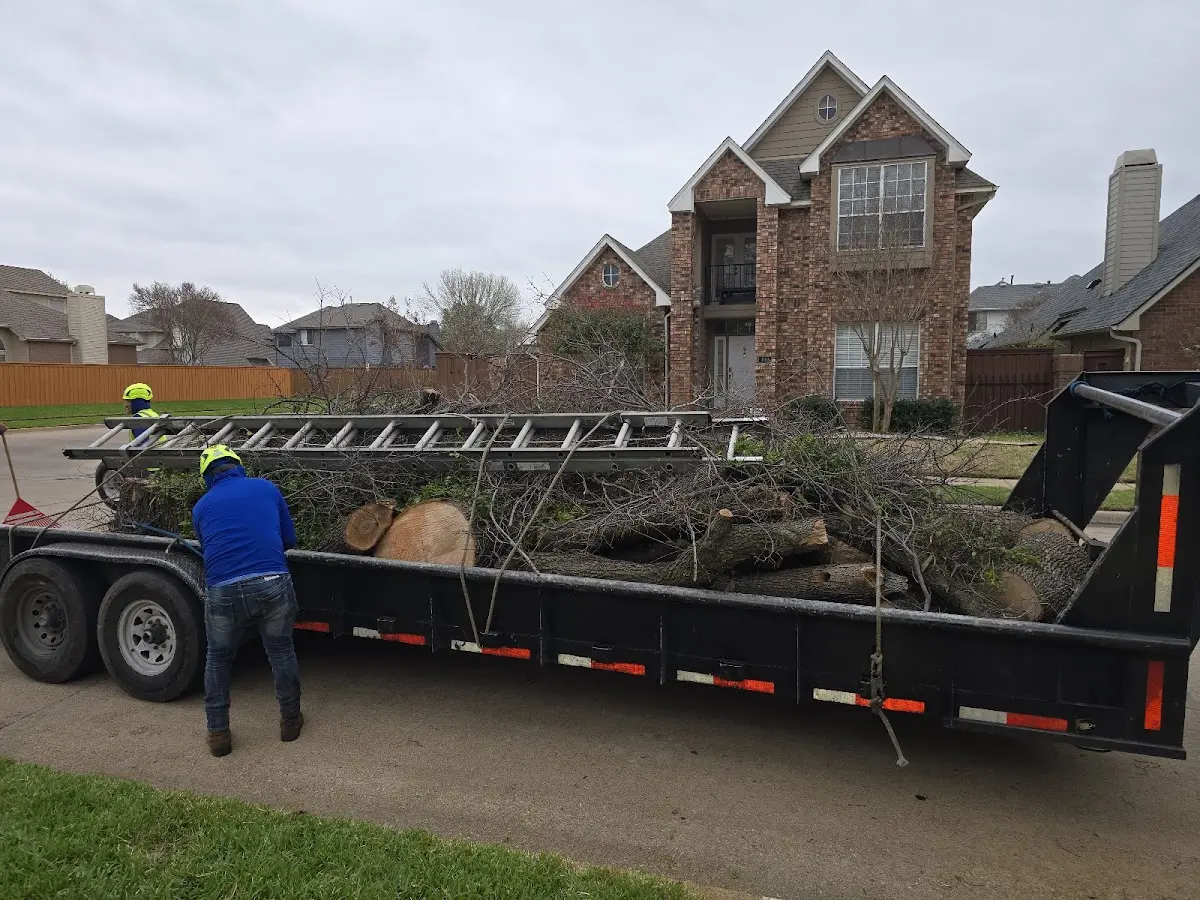 Expert Tree Fertilization with proper safety equipment in Froid